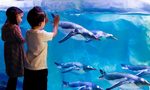 Sea Life London Aquarium : des enfants devant le bassin aux pinguins