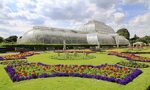 Kew Gardens admission ticket