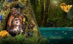 Sea Life London Aquarium : la faune et la flore de la forêt tropicale