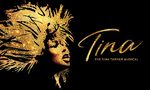 Tina Turner The Musical Photos