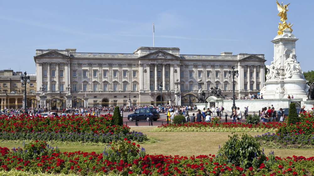 Hop on Hop off Bus Photos 3