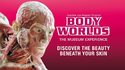 BODY WORLDS London