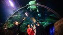Enchanted Dive at Sea Life Aquarium in London