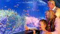 Madame Tussauds, das London Eye und das SEA LIFE Aquarium