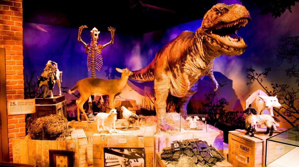 Ripley's Believe It Or Not! Photos 6