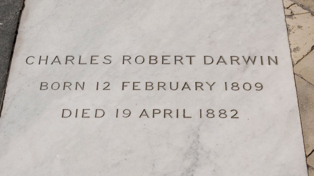 Westminster Abbey Photos 11