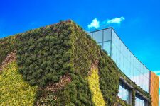 Découvrir Londres de Manière Écoresponsable : Un Guide pour les Voyageurs Conscients