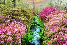 Découvrir Richmond Park : Un Festin pour les Sens