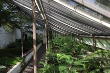 Exploration Botanique à Chelsea Physic Garden : Découvrez un Monde de Plantes et d'Événements