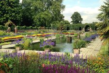 Exploration de la Faune et de la Flore Magiques de Kensington Gardens