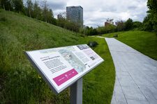 Exploration des Environs de Londres : Trésors Accessibles à Moins de 100 Kilomètres de la Capitale