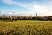 Explorez Hampstead Heath : Une Aventure Nature au Cœur de Londres