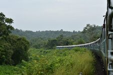 Explorez les Environs de Londres : Excursions à moins de 50 km de la Capitale