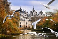 Hyde Park : Une Oasis de Nature au Cœur de Londres