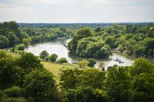 À la Découverte de la Beauté Naturelle de Richmond Park : Un Paradis pour les Amateurs de Photographie