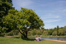 À la Découverte de la Faune et la Flore Enchanteresse de Hampstead Heath