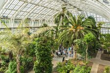 À la Découverte de la Magie de Kew Gardens en Toutes Saisons