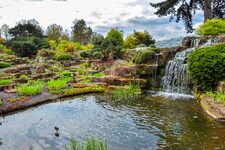 À la Découverte de la Nature à l'État Pur : Conseils pour une Visite Mémorable à Kew Gardens