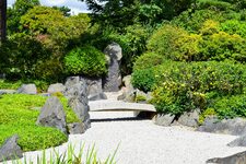 À la Découverte de la Nature Éblouissante autour de Kew Gardens