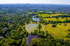 À la Découverte de la Nature Enchanteresse de Londres : Comment se Rendre à Hampstead Heath